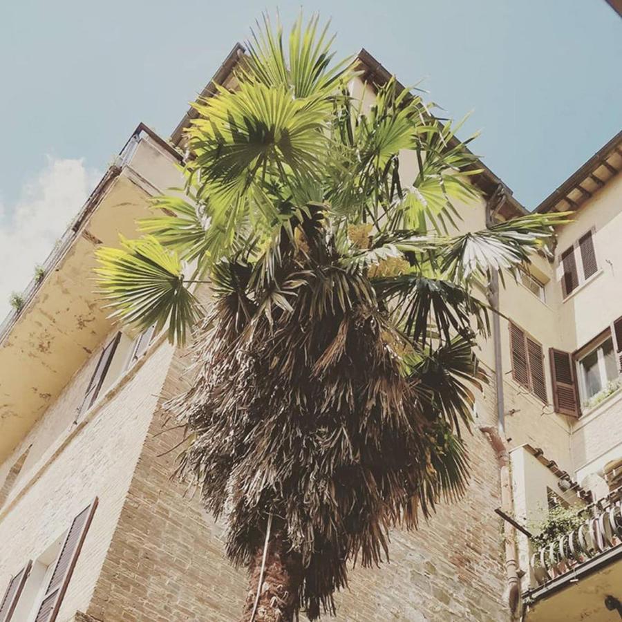 Break And Bed Bed and Breakfast Perugia Eksteriør billede